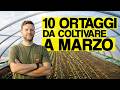 10 ORTAGGI DA COLTIVARE A MARZO