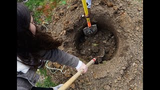 One IU class planted 28 trees in a day
