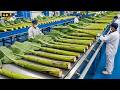 Inside a High-Tech Banana Stem Factory | How Banana Stems Become Billions of Wigs