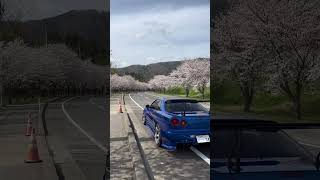 Gtr+Sakura= Perfect #Nissan #Gtr34