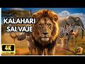KALAHARI: The Eternal Circle of the Wild | Full Wildlife Documentary [4K]