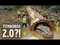 Snakes So Terrifying, Even Titanoboa Would Run