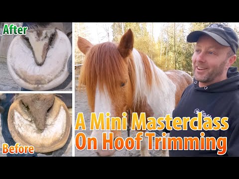 A Mini Masterclass