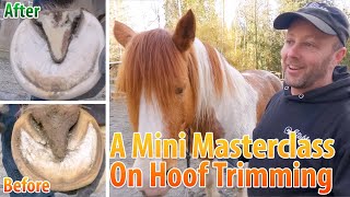 A Mini Masterclass On Horse Hoof Trimming With Lena