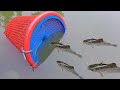 Creative boy make fish trap using plastic basket to catch a lot of cat fish