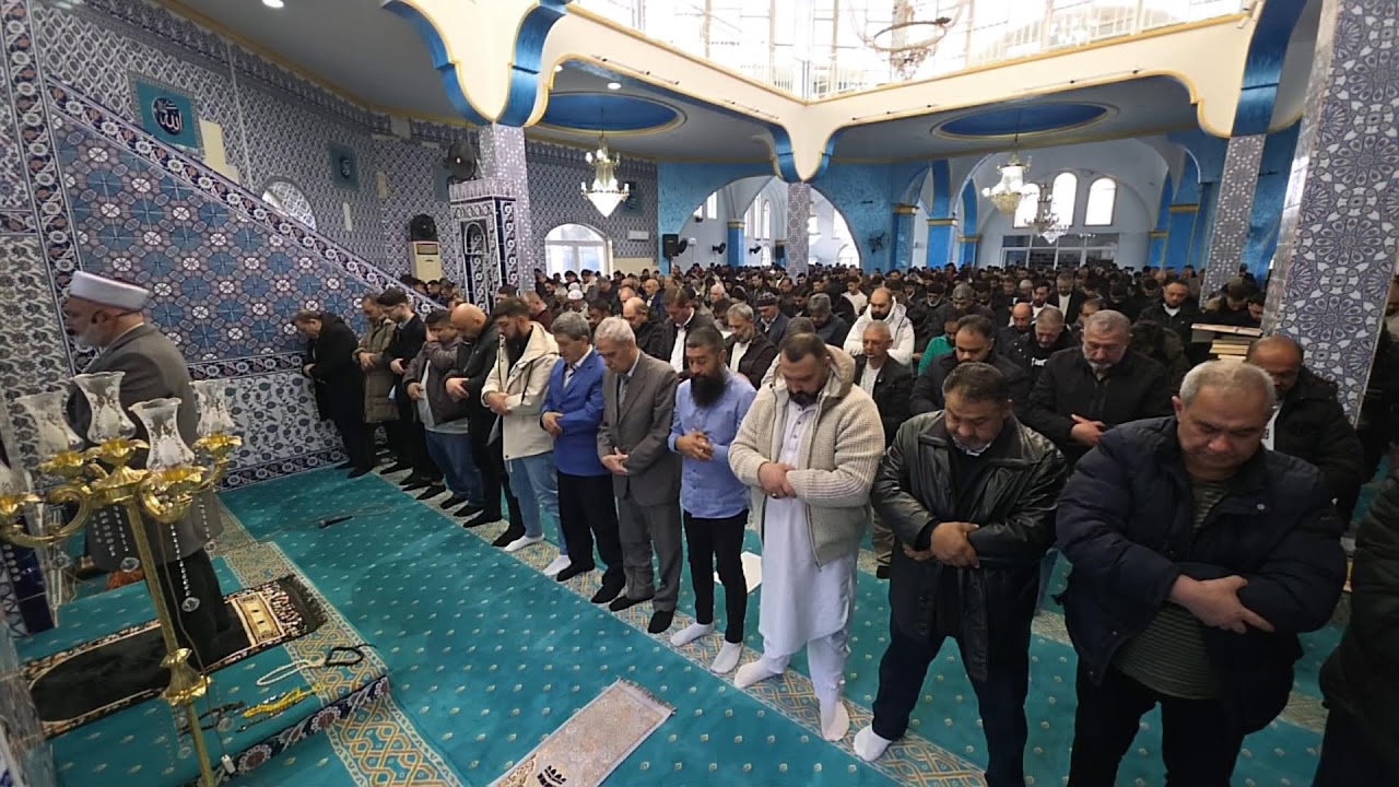 Live DZUMA - Romani Hudba - Hodza Ali Berat 13/02/2026