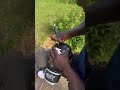 Autogramme für die Fans