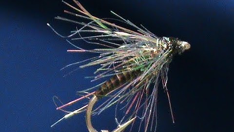 Beginner Fly Tying a Quill Body GSS Softhackle with Jim Misiura