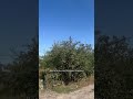 Колонна вертолётов (подпишитесь пожалуйста)