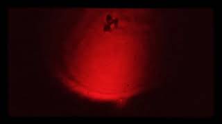 How to see Microorganisms🔬 using laser pointer screenshot 5