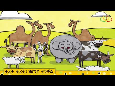 ቪዲዮ: ጥንቸል ሲመርጡ ጥቃቅን እና ጥቃቅን ነገሮች