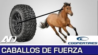 ¿Qué es un caballo de fuerza?  Cooper Consejos en AutoDinámico