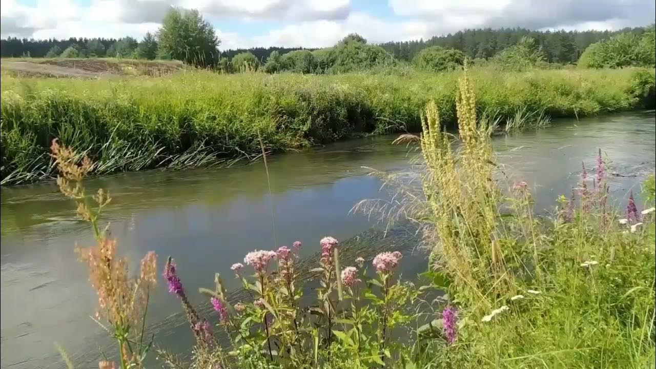 Реку реку звучание. Лето река. Звук реки. Голос природы. Звуки лета.