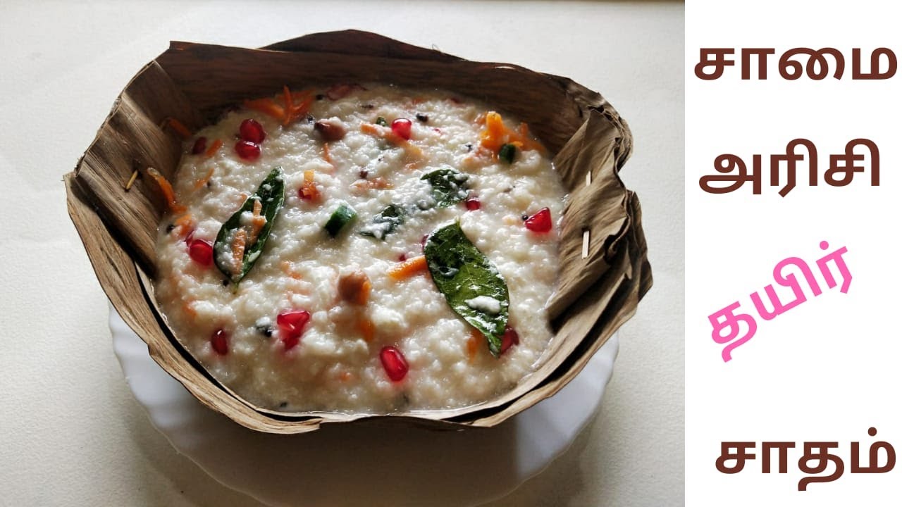 Samai Thayir Sadam / Little Millet Curd Rice / How to make Millet Curd ...