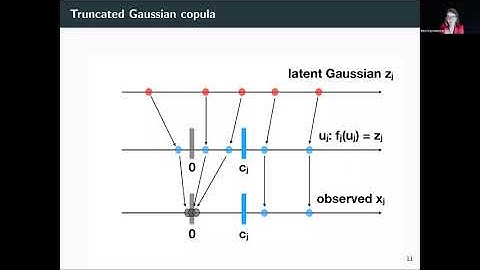 Irina Gaynanova - Seminar - "Truncated Latent Gaussian Copula Model for Zero-Inflated Data"