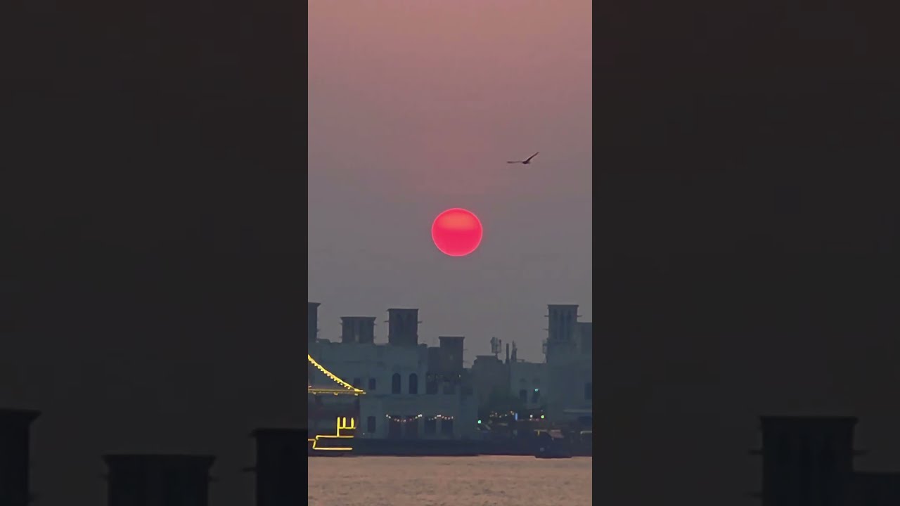 ZEPHY YELLOW TO PINK SUNSET Sunset Shorviralvideo