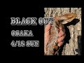 ブラックアウト大阪出展します!