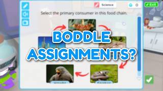 What Are Boddle Assignments?