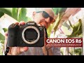 Canon EOS R6: ¿comprar o esperar?