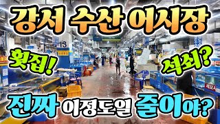 강서 수산 어시장 이거 영상 올려도 되나? 역대급! 상상 초월 진짜 일났네! 이렇게 준다고? korean fish market channel