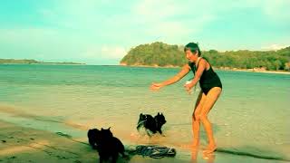 Sailing Schipperkes have fun on Gili Goleng by Tropical Sailing Life 113 views 4 months ago 7 minutes, 37 seconds