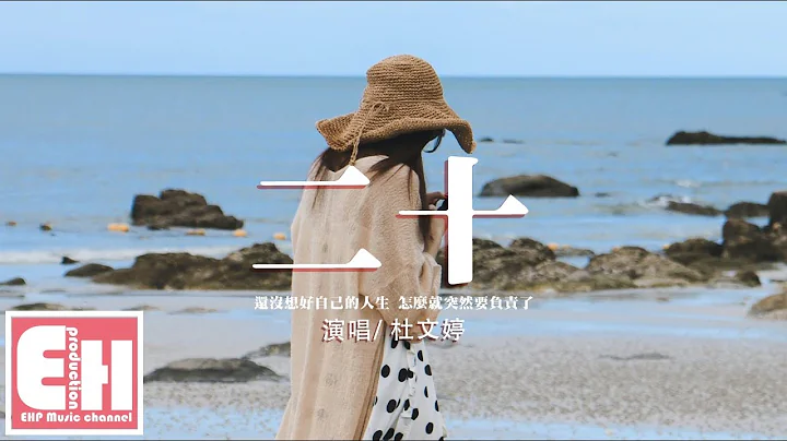 杜文婷 - 二十‘要学会珍惜年纪的空虚，要体会突如其来的不安。’【动态歌词/Vietsub/Pinyin Lyrics】 - 天天要闻