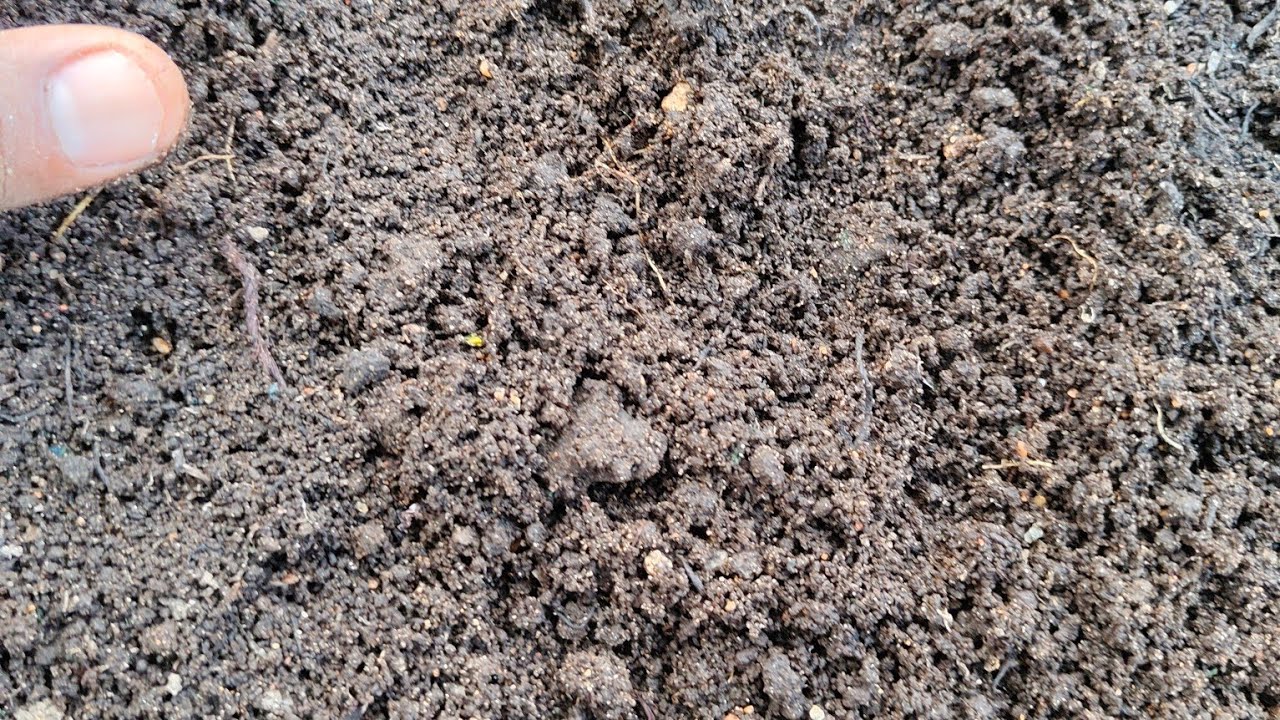 New bed making of VERMI COMPOST 