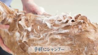 わんちゃんのための自宅で洗える泡リンスインシャンプー 動画：①「泡リンスインシャンプー」篇/19秒/ライオン