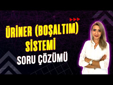 ÜRİNER ( BOŞALTIM) SİSTEMİ💯 SORU ÇÖZÜMÜ l Seda Hoca Biyoloji #ayt2023