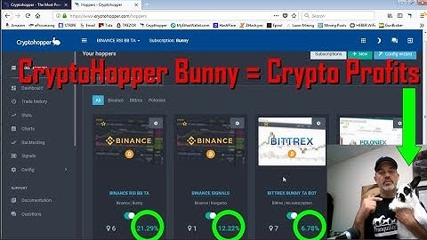 How To Trade Crypto & Profit Using A CryptoHopper Bunny Trading Bot - Settings