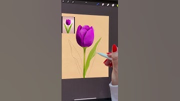 These Procreate watercolor brushes are in my bio 😍 #artprocess #procreatetutorial #watercolor