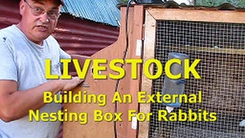 LIVESTOCK - Building An External Nesting Box For Rabbits