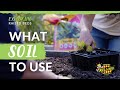 The Benefits of Raised Beds for Plant Growth and Soil Ecosystem