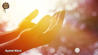 Download lagu 7 Fatiha 7 Ayetel Kürsi 7 Amenerrasulü 7 Kafirun 7 İhlas 7 Felak 7 Nas Kur'an-ı Kerim Rukye Ayetleri