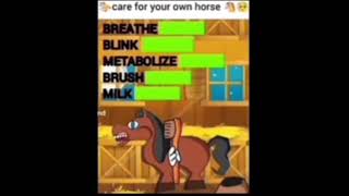 [OLD] care for your own horse