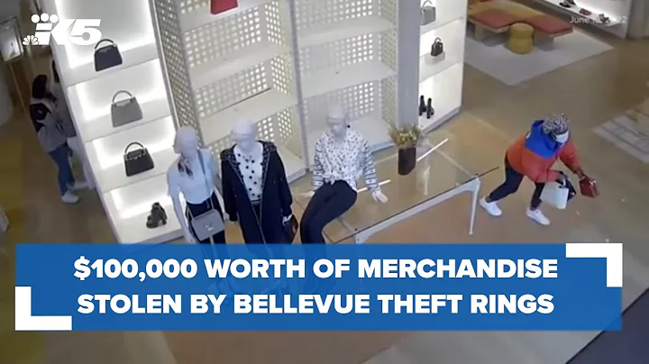 Over $100,000 worth of merchandise stolen by Bellevue theft rings