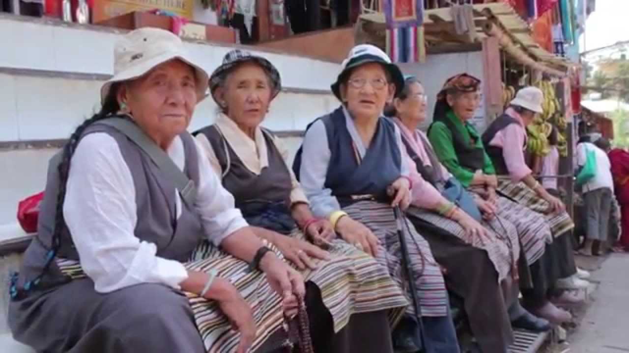 Tibetan Centre for Conflict Resolution, Dharamsala  India HD