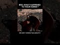 I still miss him to this day | Subscribe for a free castle  #mountandblade