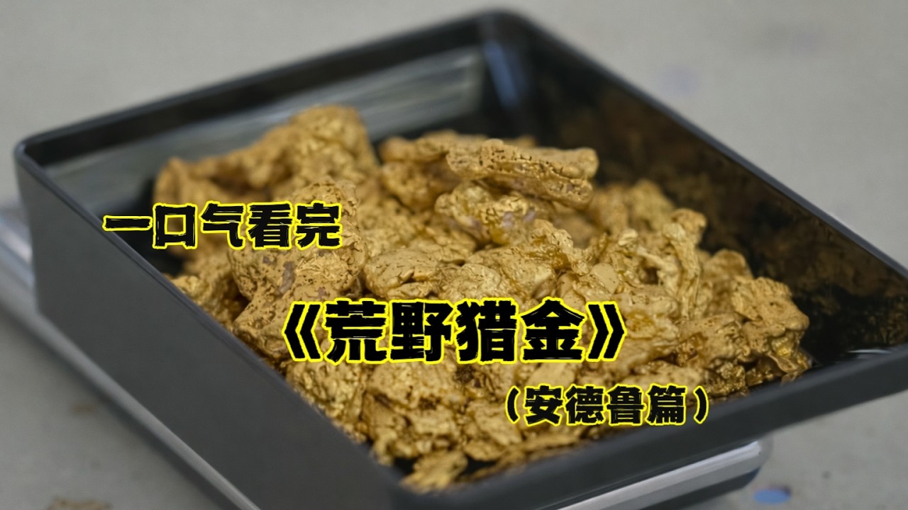 《荒野猎金》安德鲁篇：两人挖黄金一天赚几十万，最后直接累到趴下