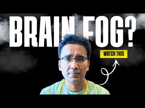 The Gut-Brain Connection: Why You Feel Tired, Stressed & Unfocused