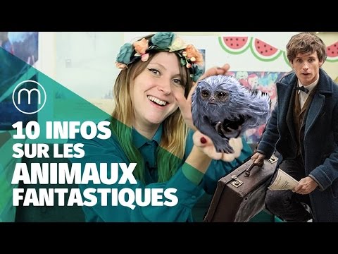 7 Raisons De Craquer Pour Le Texte Du Film Les Animaux Fantastiques Youtube
