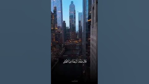 تلاوة خاشعة