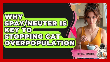 Why Spay/Neuter Is Key To Stopping Cat Overpopulation - Happy Cat Handbook