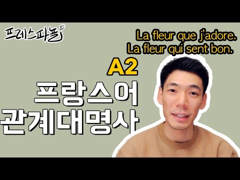 🇫🇷[프랑스어 관계대명사1] QUI/QUE  Les Pronoms Relatifs Simples 1