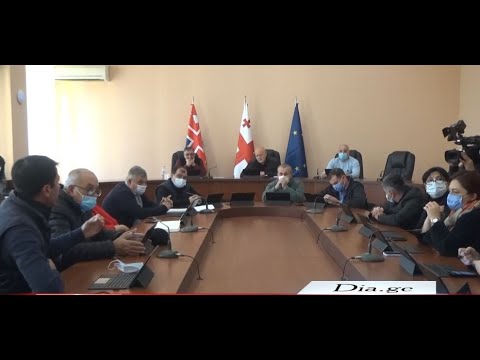 გორის მუნიციპალიტეტის მეოთხე მოწვევის საკრებულომ მუშაობა დაასრულა 12.11.2021