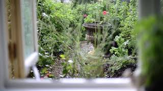 Rain Sounds - ASMR Binaural Cottage Garden Rain - 10 Hours by Calmsound 1,897 views 3 years ago 10 hours
