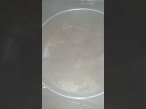 اسهل طريقه لعمل لحم الديك الرومي الطريقة في أول تعليق مسبة