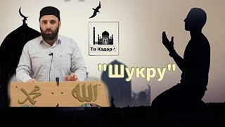 жумагlла насигlат Муса Джанхаватов (Шукру)