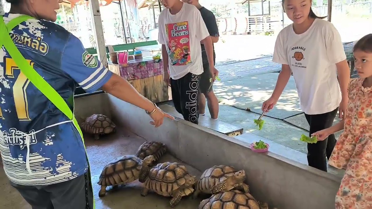 ออกเดินทางท่องเที่ยว #บึงบรเพ็ด #นครสวรรค์ 