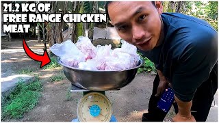 21.2 KG Free Range Chicken Meat ang Na-Process Ngayong Araw